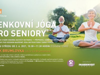 Free Yoga Lessons for Seniors