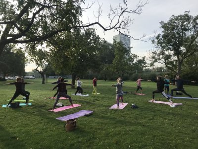Free Yoga Lessons for Seniors
