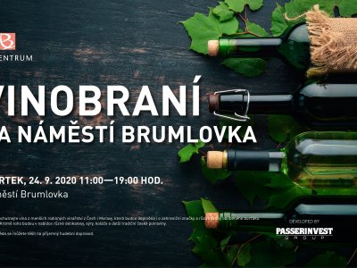 Vinobraní na Náměstí Brumlovka -  24.9.